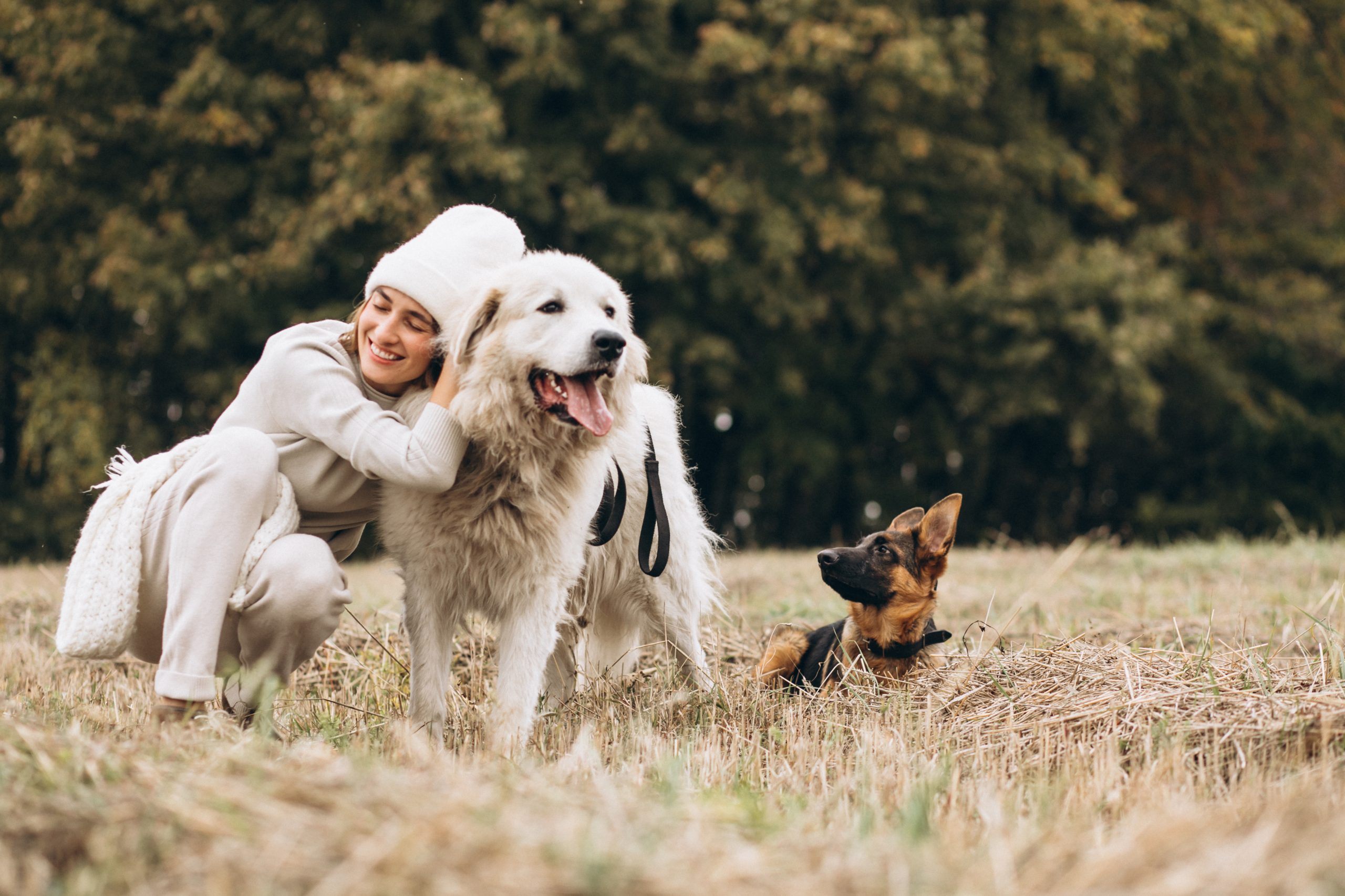 Breathing Exercises for Dogs and Humans