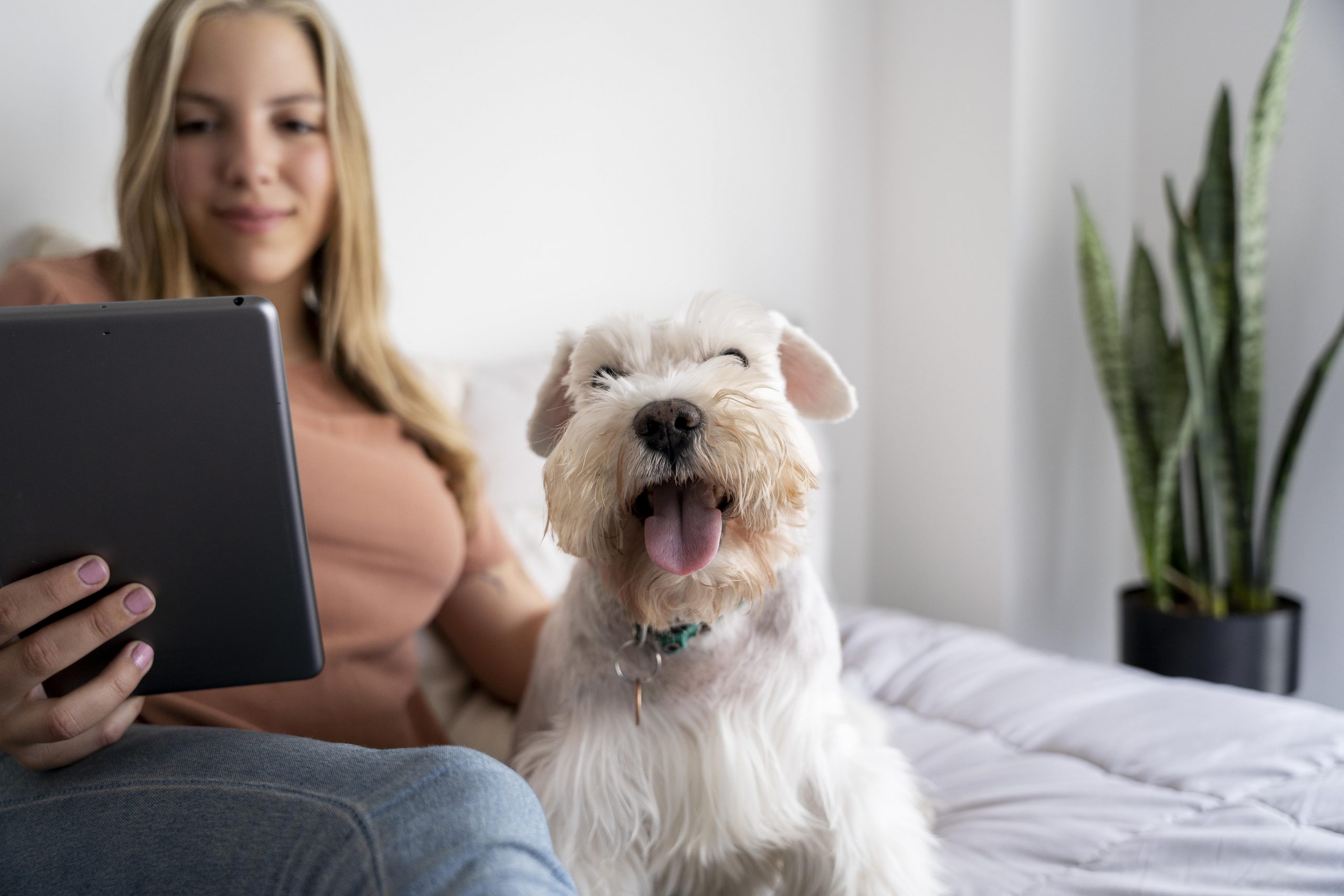 apps for dog parents