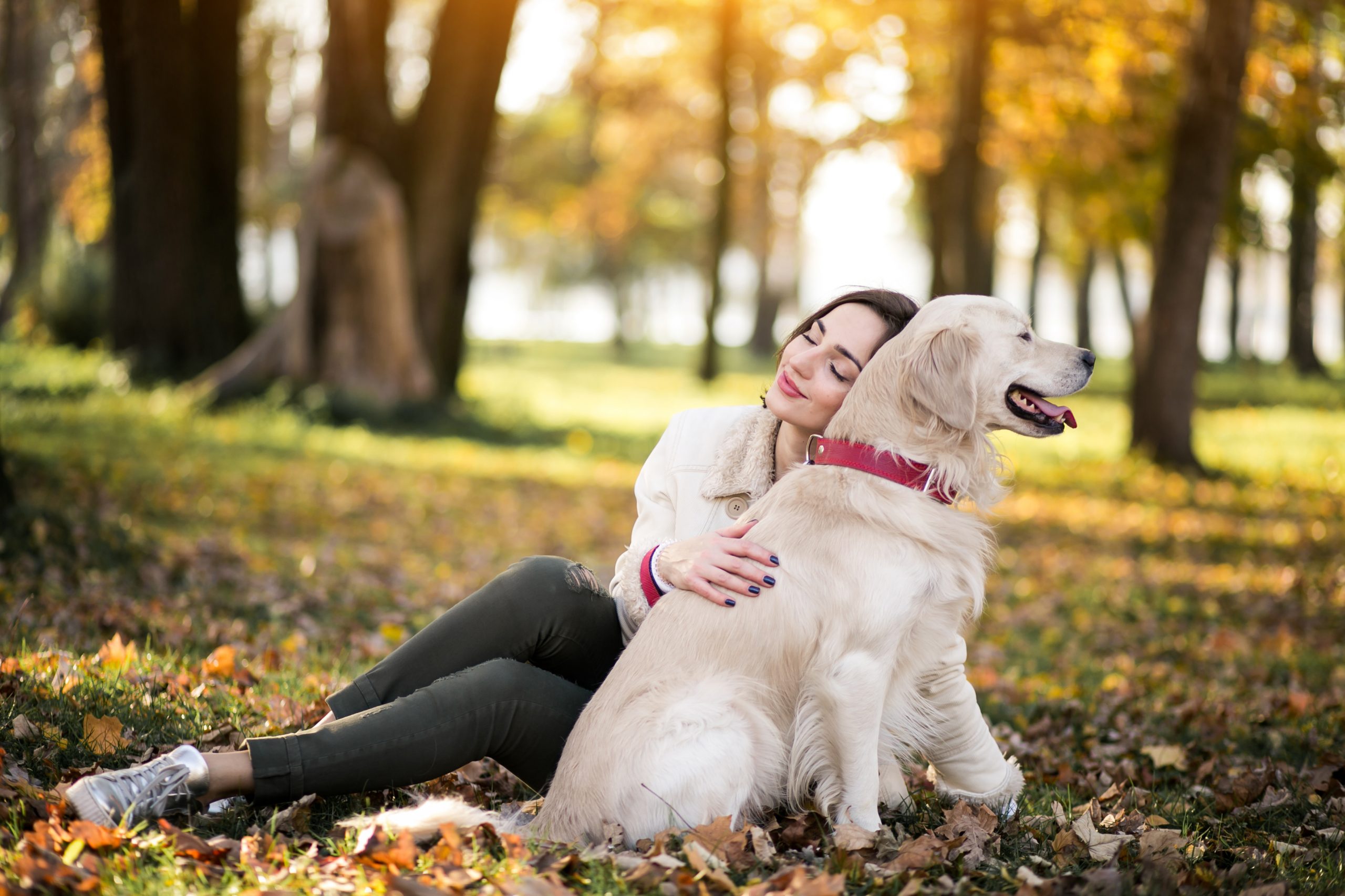 Responsible Dog Owners