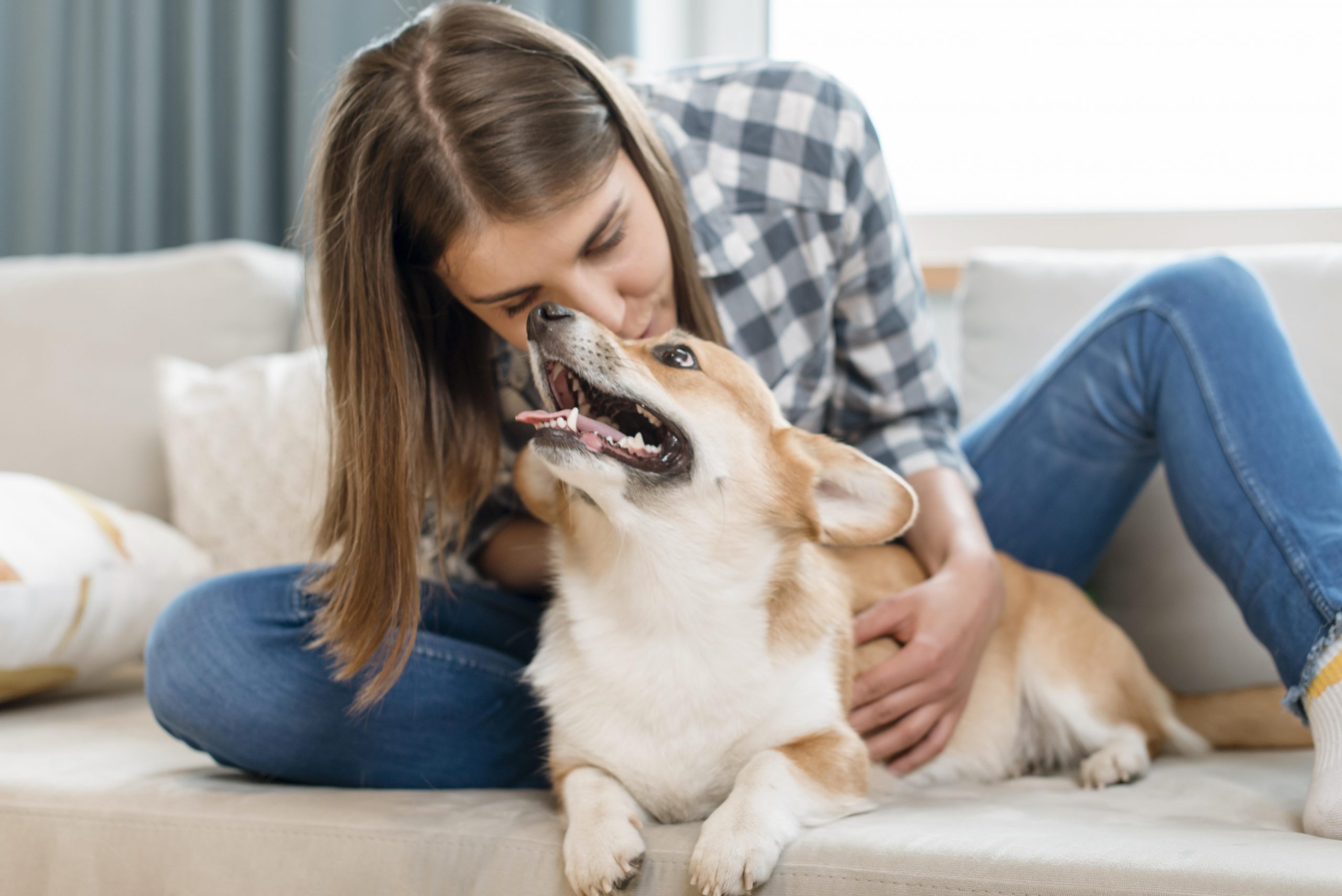 5 Daily Habits of Highly Responsible Dog Owners
