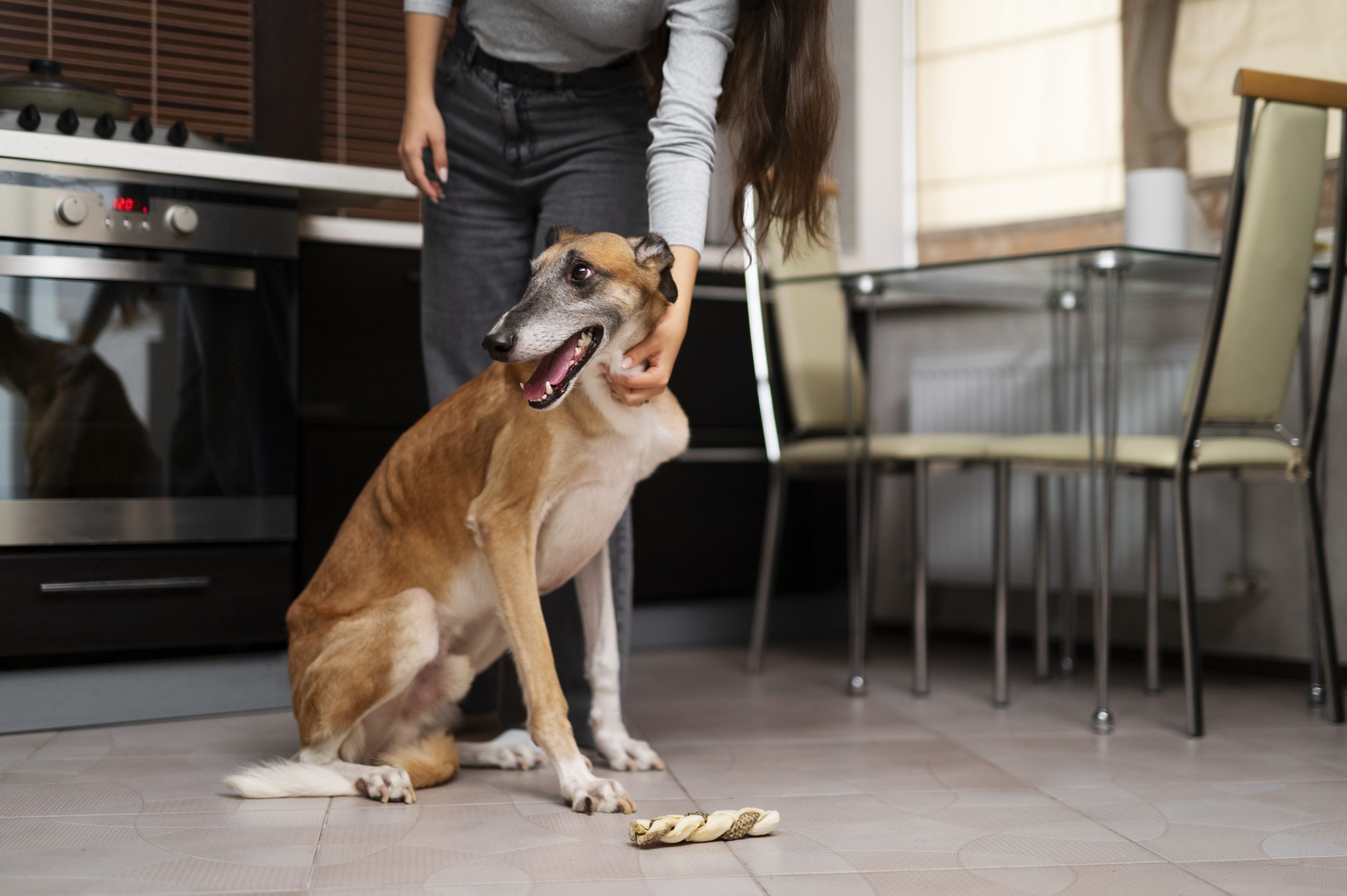 8 Hidden Dangers in Your Home That Could Harm Your Dog