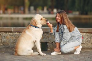 7 Weird But True Facts About Dog Behavior That Will Surprise You