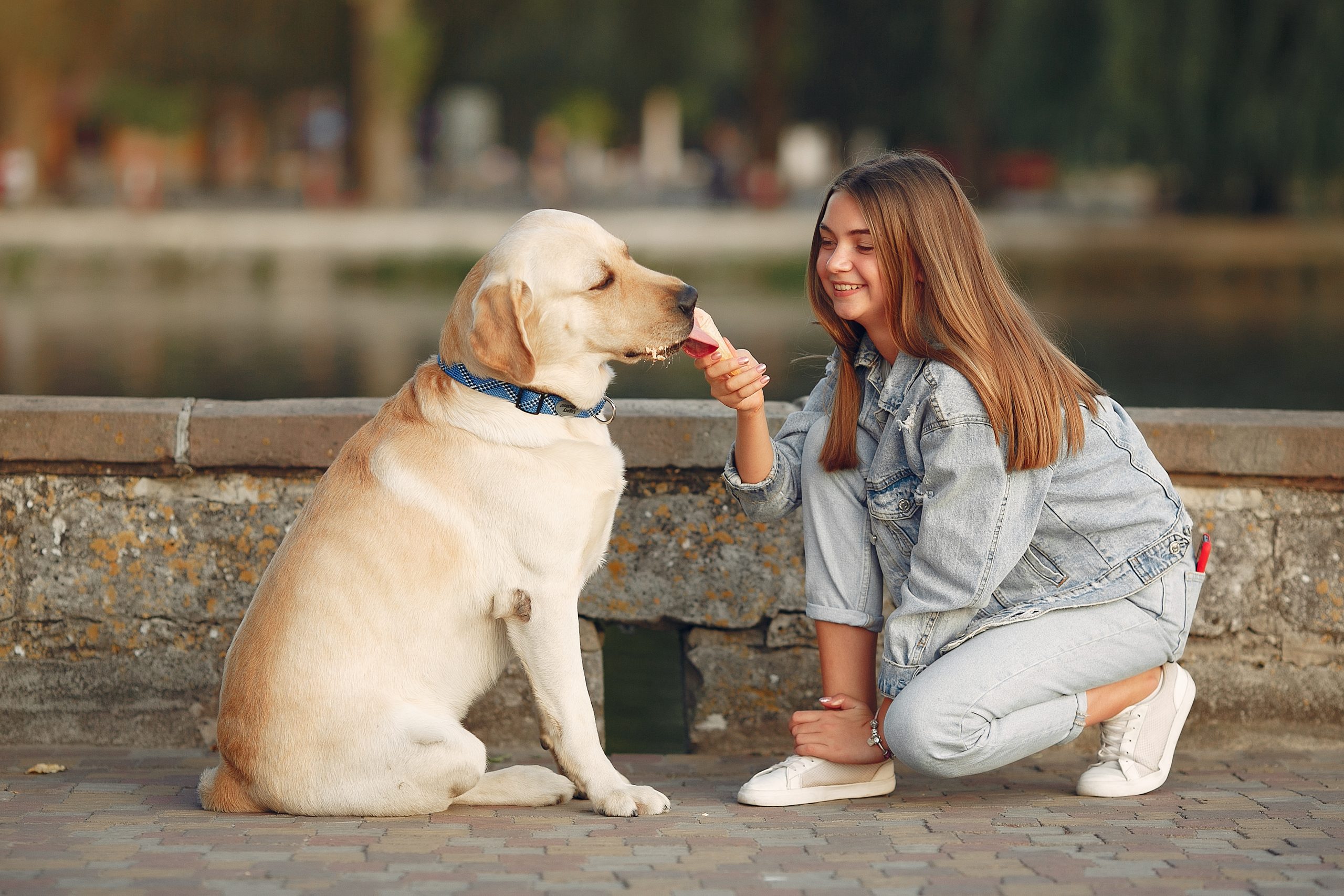 7 Weird But True Facts About Dog Behavior That Will Surprise You