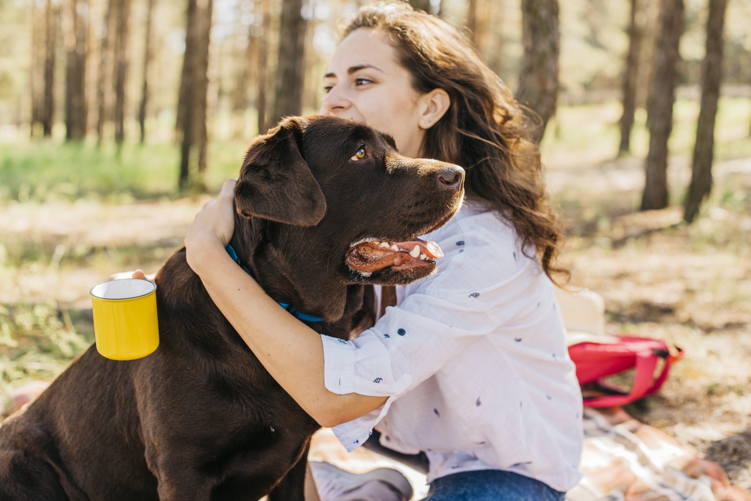 5 Proven Ways to Make Your Dog Instantly Love You