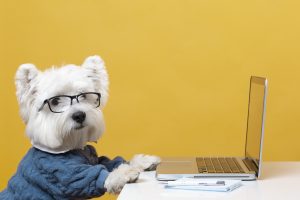 5 Surprising Reasons Dogs Improve Workplace Productivity