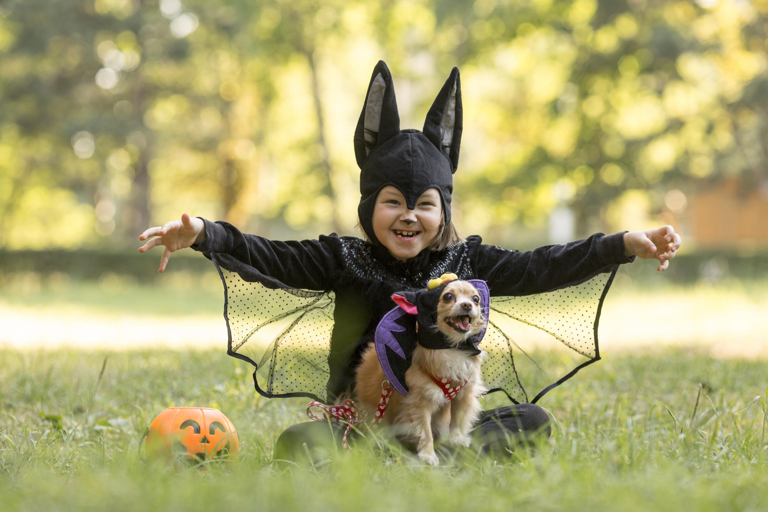 Halloween Night Less Scary for Your Pup