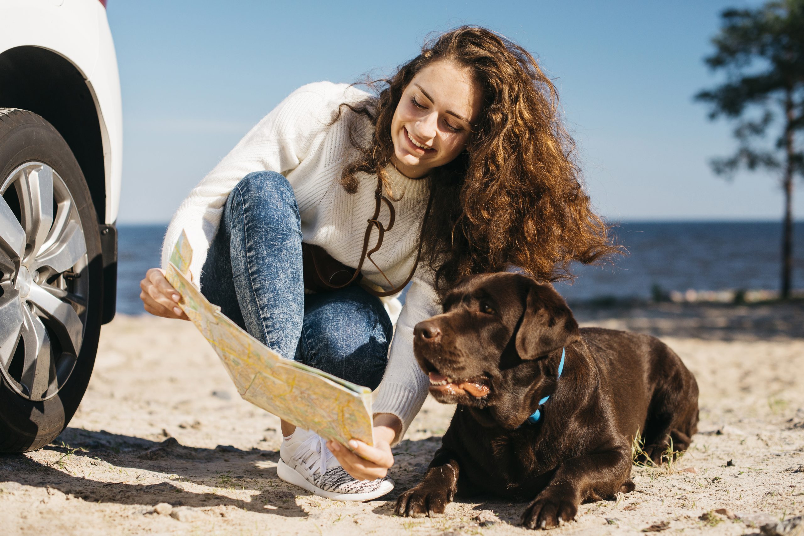 Traveling With Your Dog