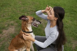 How Dogs Adapt to Your Mood