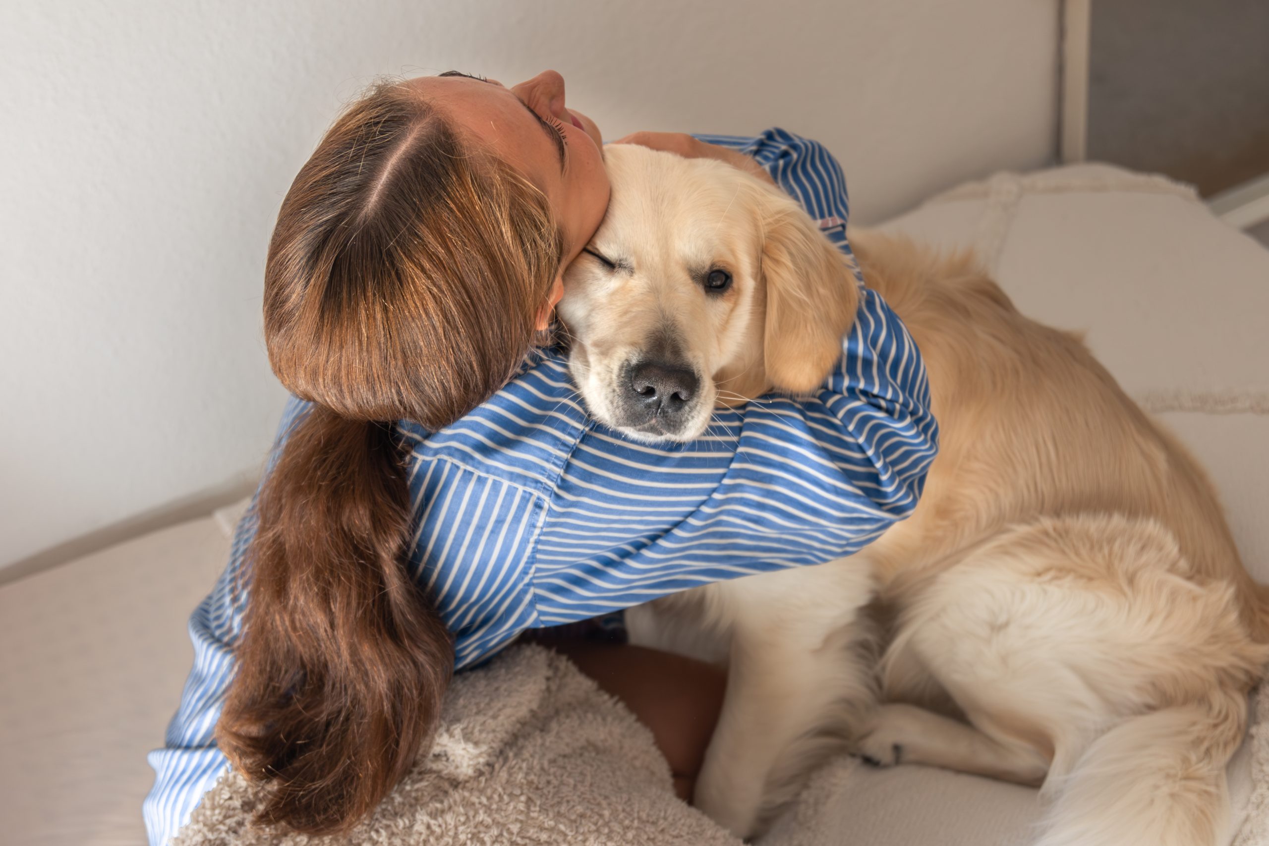 Dogs Sense Stress in Their Owners