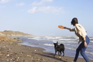 Build Better Obedience Habits After the Holidays