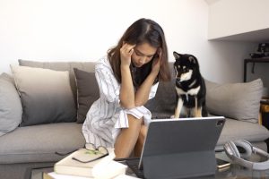 Dogs Sense Stress in Their Owners