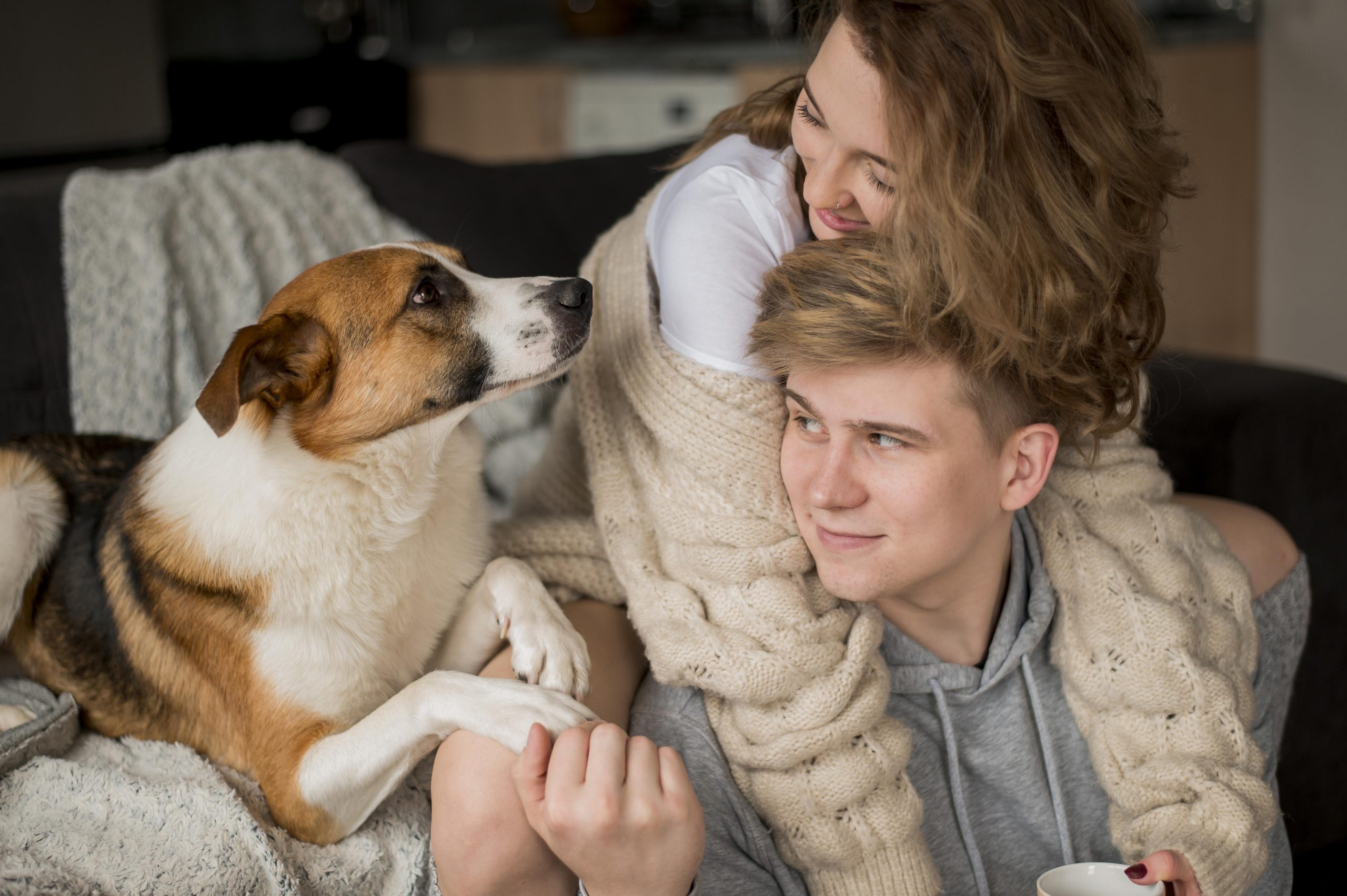 Quiet Moments When Dogs Feel the Most Connected to Humans: 6 Powerful Signs of Deep Trust