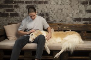 Quiet Moments When Dogs Feel the Most Connected to Humans: 6 Powerful Signs of Deep Trust