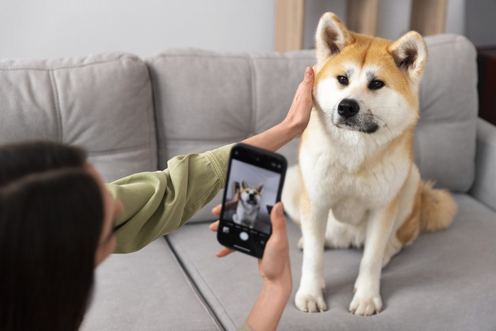 Are Dogs Aware of Cameras