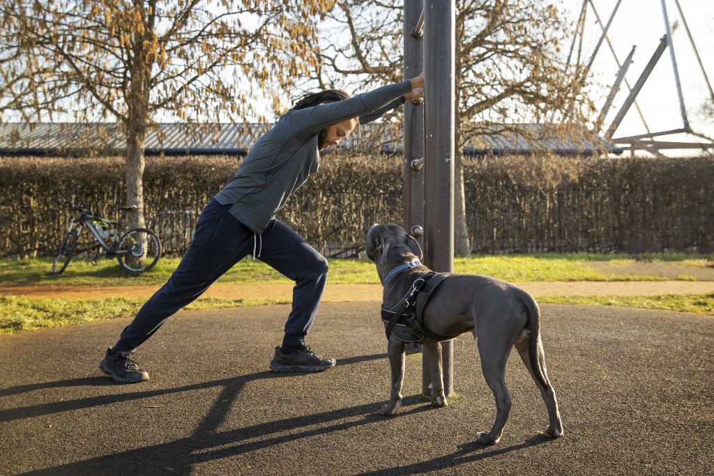 Mental Enrichment vs Physical Exercise for Dogs