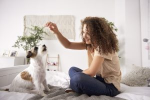 Why Dogs Love Routine