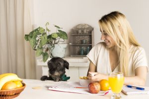 Foods That Help Dogs Maintain a Healthy Weight
