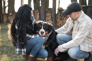 5 Unexpected Moments That Matter Most to Your Dog Each Day