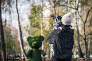Signs Your Dog Is Struggling With Seasonal Changes
