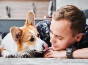 5 Unexpected Moments That Matter Most to Your Dog Each Day